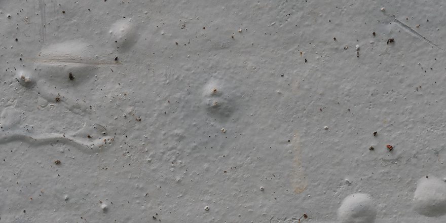 shutterstock_1444751936